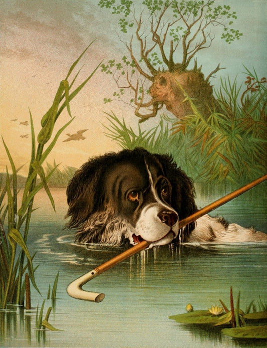 Four-footed Favourites c.1880 - Hector Giacomelli - 4 images | Dimensions 2216 x 2884 pixels
