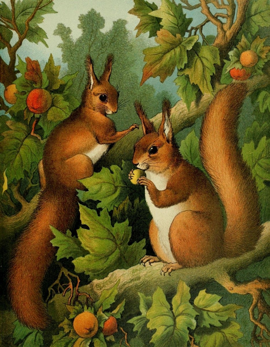 Four-footed Favourites c.1880 - Hector Giacomelli - 4 images | Dimensions 2205 x 2830 pixels