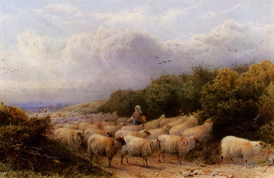 Dimensions 5166 x 3348 pixels