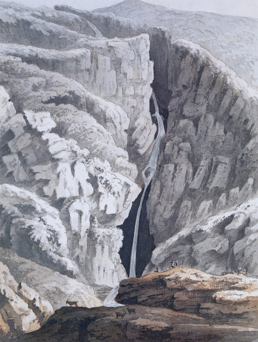 Dimensions 4185 x 5526 pixels