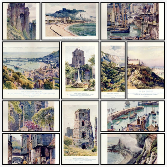 A snapshot of the images