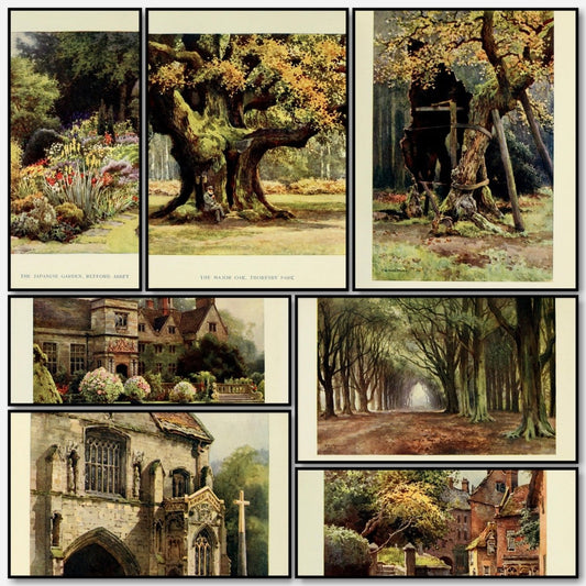 The Dukeries 1913 - Ernest Haslehust - 12 images | A snapshot of some of the images