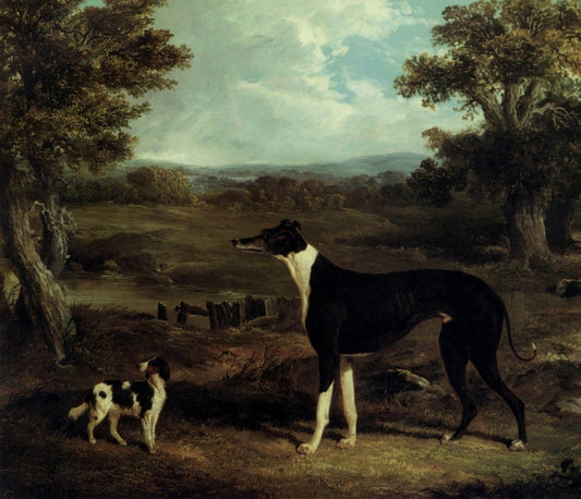 Dimensions 4504 x 3872 pixels