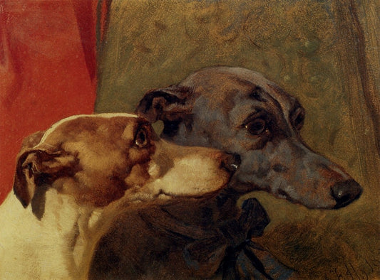 Dimensions 5568 x 4112 pixels