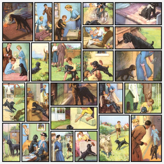 A snapshot of the images