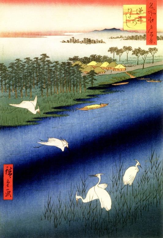 Dimensions 4088 x 5960 pixels