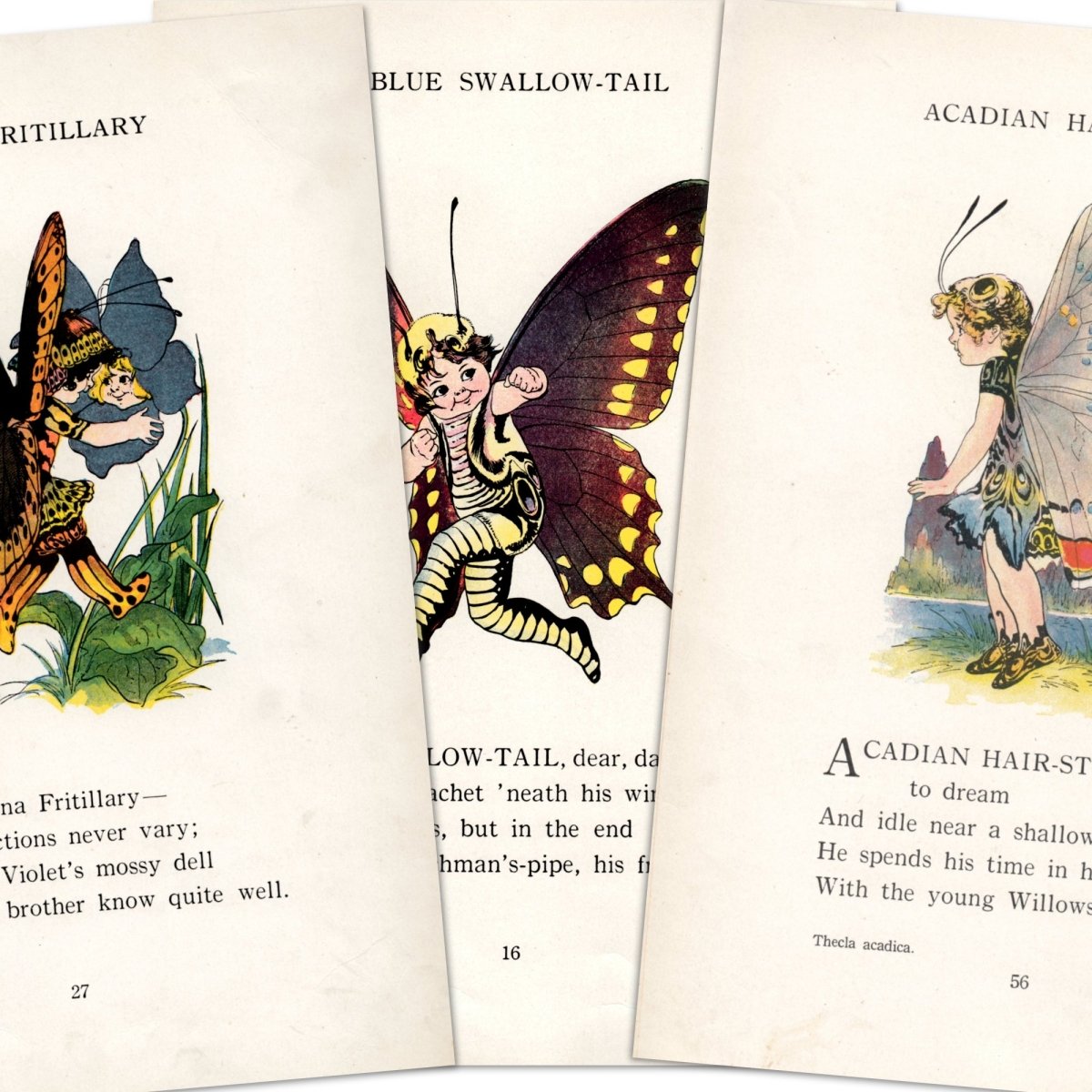 Butterfly Babies 1914 - Marion T. 'Penny' Ross - 63 images | A snapshot of some of the images
