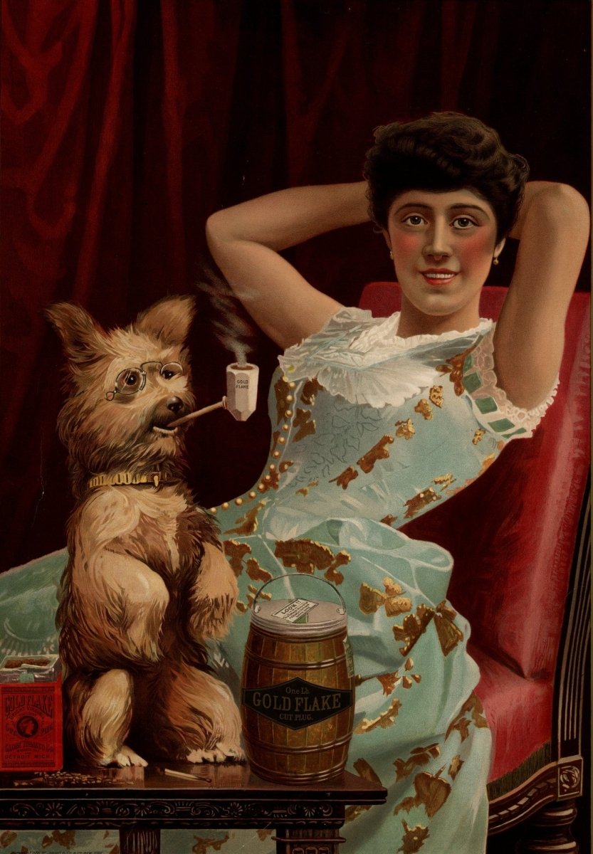 Dogs in Art - 106 Vintage Images | Dimensions 4752 x 6840 pixels