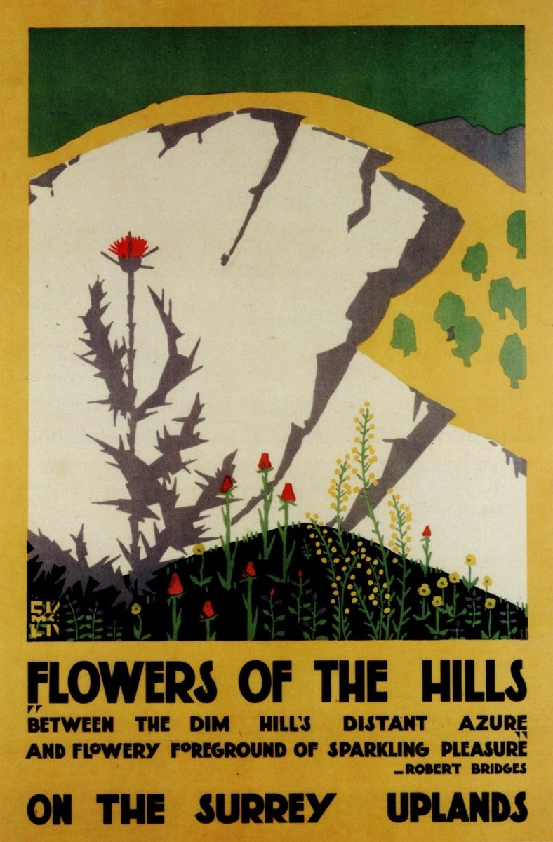 Edward McKnight Kauffer (1890-1954) - Flowers of the Hills | Dimensions 3792 x 5778 pixels