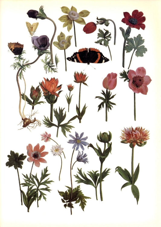 Dimensions 6360 x 8952 pixels