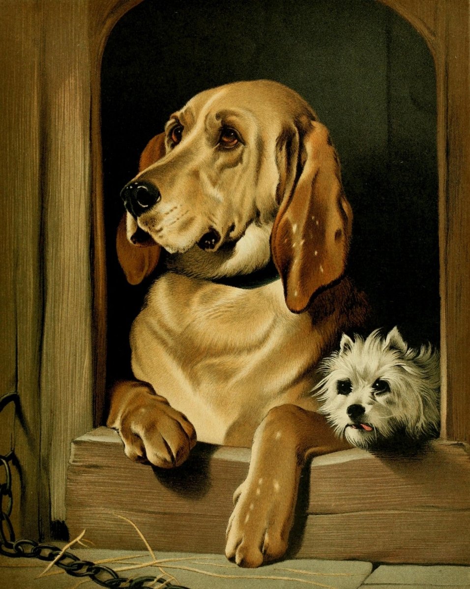 The Shepherd's Dog 1870 - Edwin Landseer - 8 images | Dimensions 2224 x 2792 pixels
