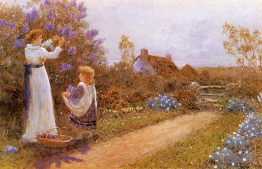 Dimensions 5180 x 3350 pixels