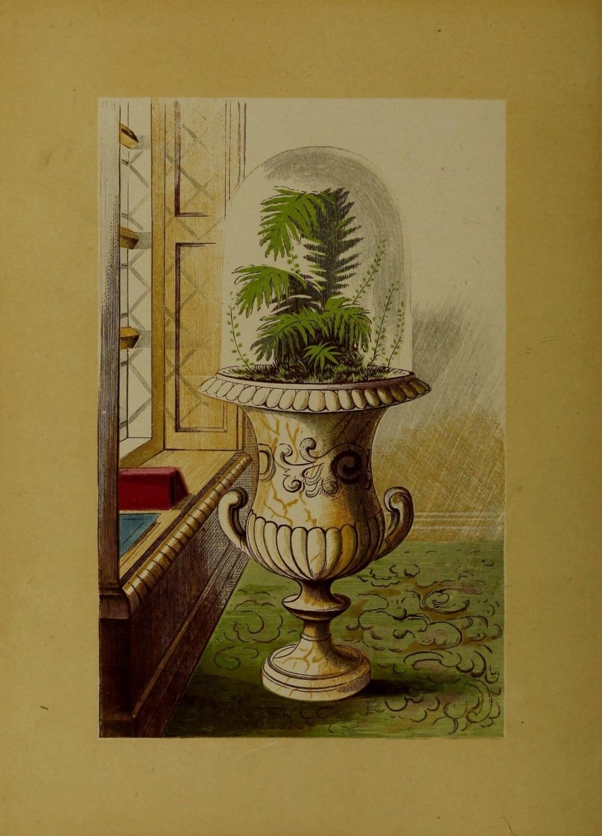 Rustic Adornments for Homes of Taste 1870 - Alexander Lydon | Dimensions 2055 x 2855 pixels