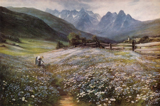 Dimensions 6111 x 4041 pixels