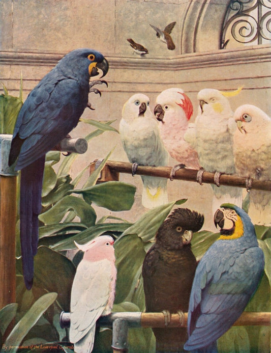 Henry Stacy Marks - A Select Commitee | Dimensions 4347 x 5652 pixels