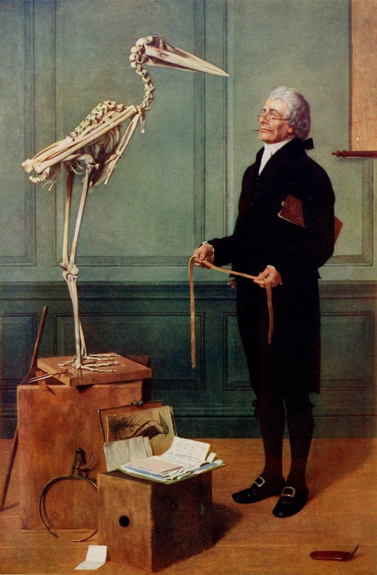 Henry Stacy Marks - Measurement is Science 1879 | Dimensions 3861 x 5877 pixels