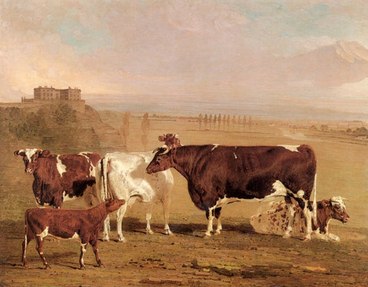 Dimensions 4735 x 3685 pixels