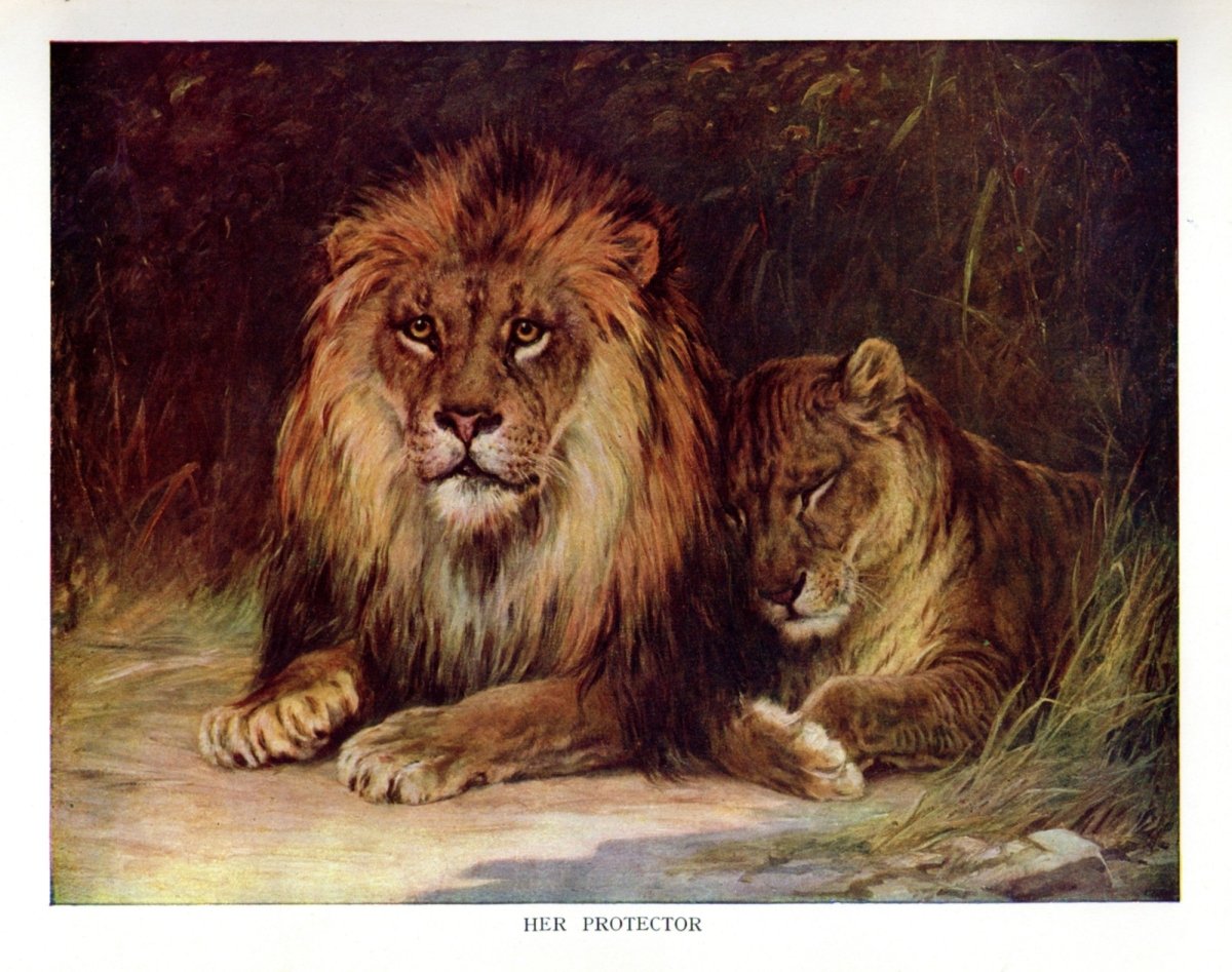 Harry Morley (1881-1943) - Her Protector (Lions) 1921 | Dimensions 5180 x 4088 pixels
