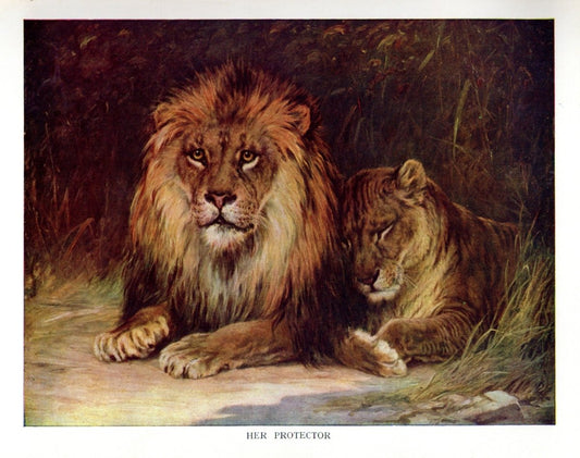 Harry Morley (1881-1943) - Her Protector (Lions) 1921 | Dimensions 5180 x 4088 pixels