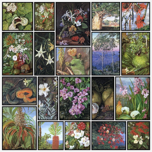 Marianne North Botanical Artwork in the Public Domain | A snapshot of some of the images