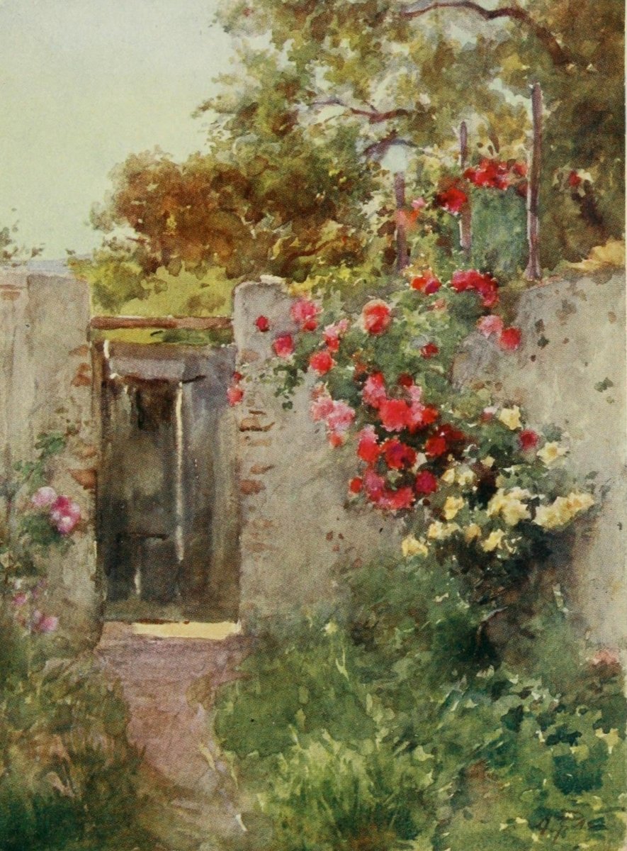 Sicily 1911 - Alberto Pisa - 48 images | Dimensions 1600 x 2170 pixels