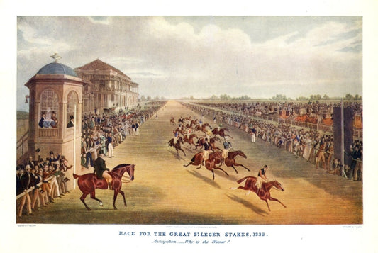 Dimensions 6248 x 4184 pixels