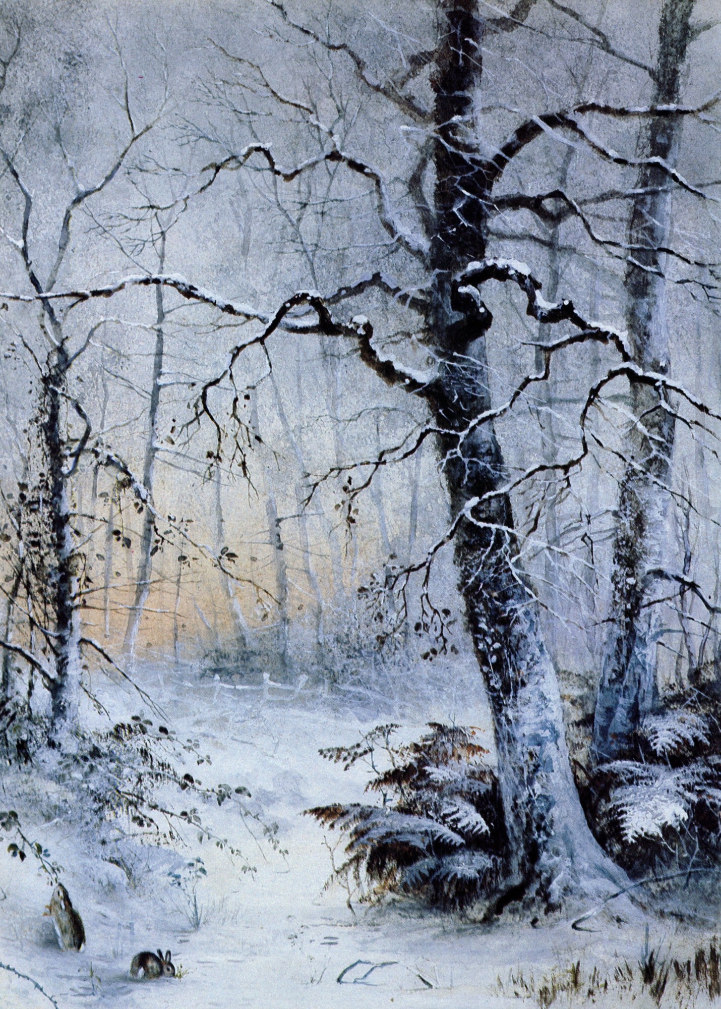 Animals in the Snow - 101 High Resolution Images | Dimensions 4136 x 5784 pixels