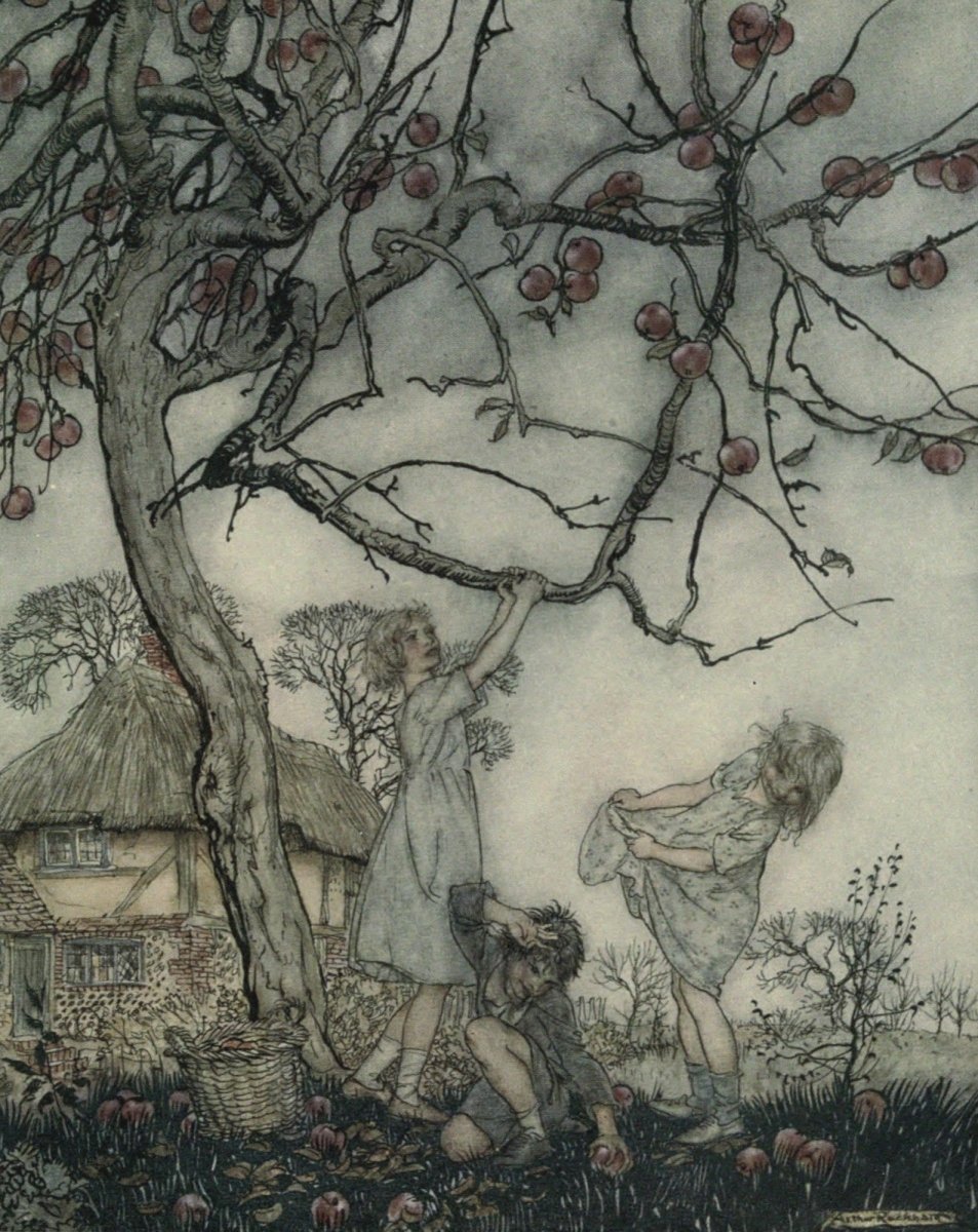 A Dish Full of Apples, 1921 - Arthur Rackham - 3 images | Dimensions 1950 x 2455 pixels
