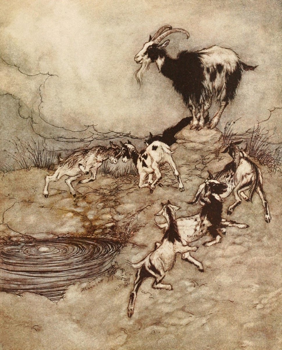 Snowdrop & other Tales 1920 - Arthur Rackham - 13 images | Dimensions 1448 x 1792 pixels