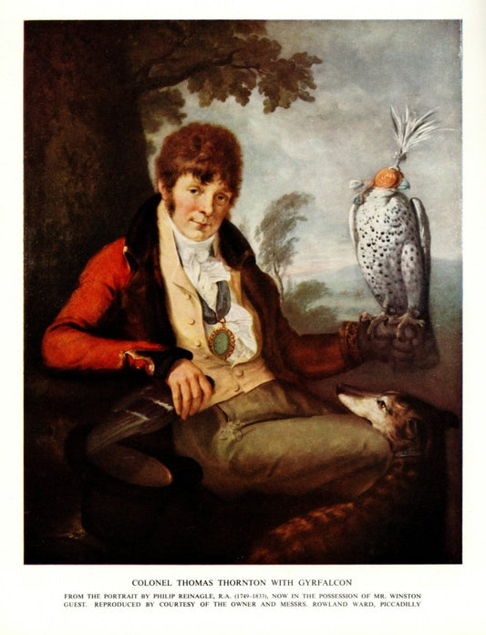 Philip Reinagle - Colonel Thomas Thornton with Gyrfalcon | Dimensions 5013 x 6543 pixels