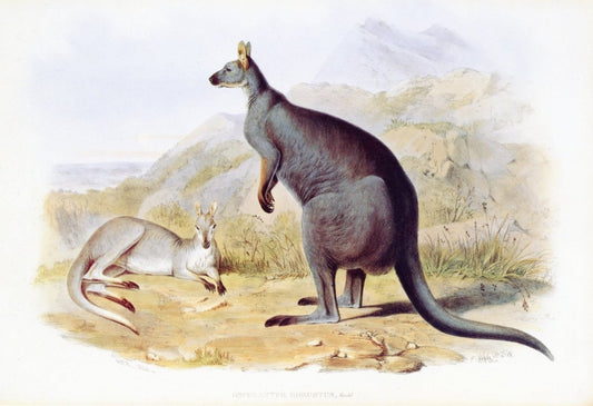 Dimensions 7290 x 4990 pixels