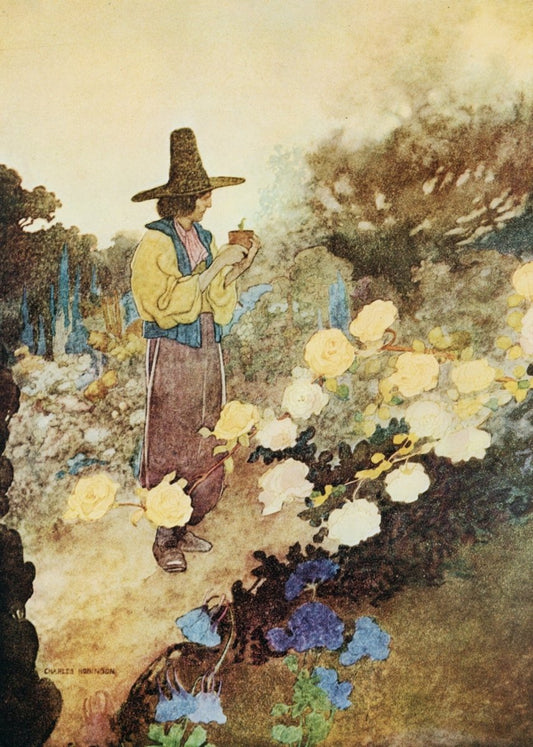 Dimensions 4104 x 5751 pixels