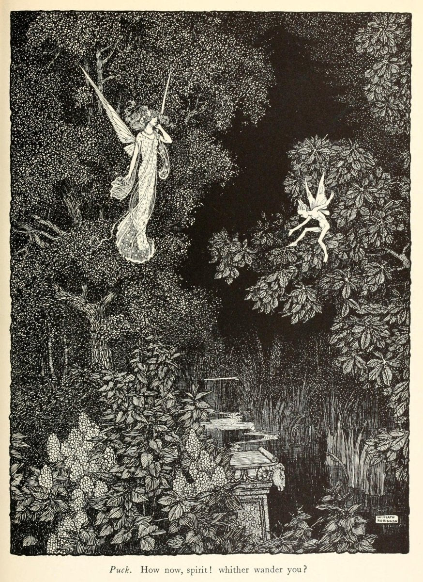 A Midsummer Night's Dream 1915 - W. Heath Robinson | Dimensions 1875 x 2575 pixels