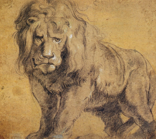 Peter Paul Rubens (1577-1640) - Lion c1614 | Dimensions 5192 x 4632 pixels