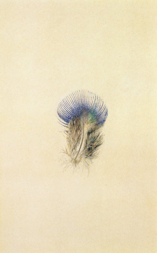 Dimensions 3680 x 5930 pixels