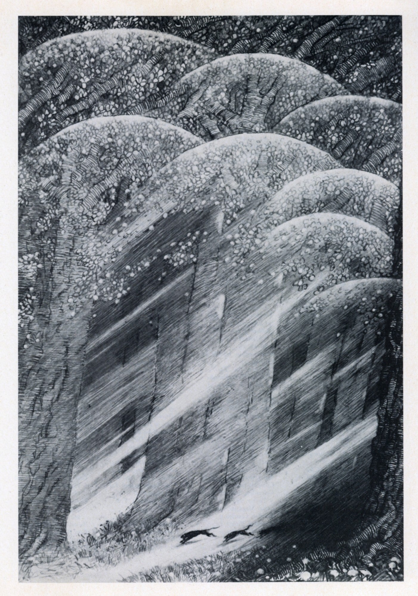 Dimensions 4500 x 6417 pixels