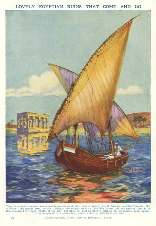 Dimensions 3800 x 5500 pixels