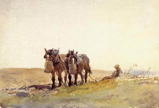 Dimensions 5383 x 3654 pixels