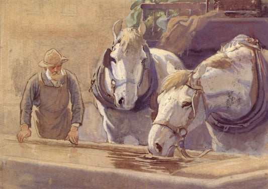 Dimensions 5160 x 3640 pixels