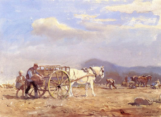 Dimensions 5005 x 3654 pixels