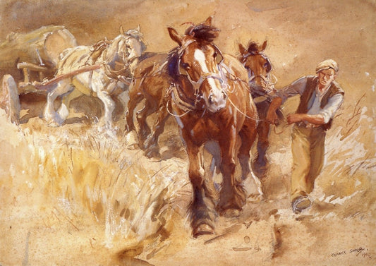 Dimensions 5139 x 3636 pixels