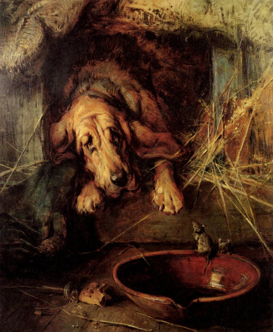 Dimensions 3906 x 4734 pixels