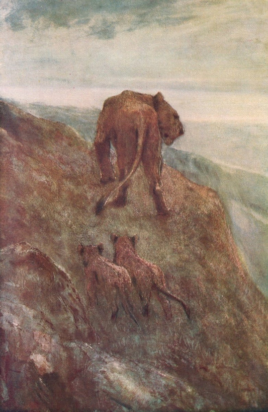 Dimensions 4170 x 6400 pixels