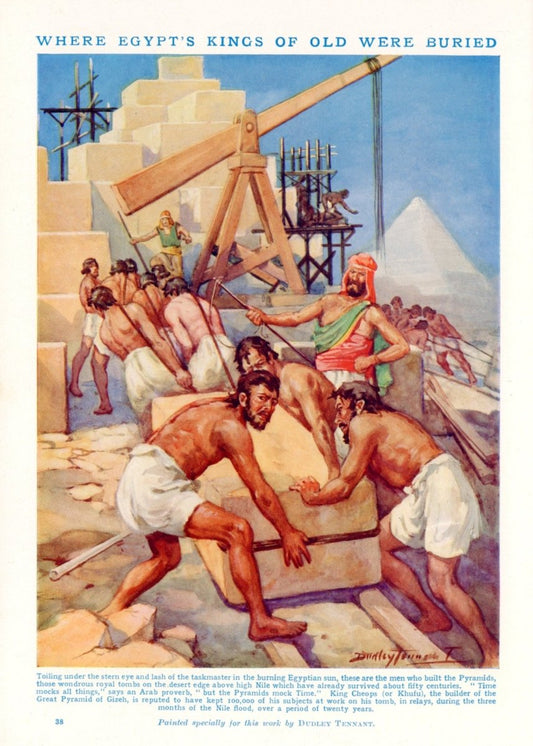 Dimensions 4080 x 5710 pixels