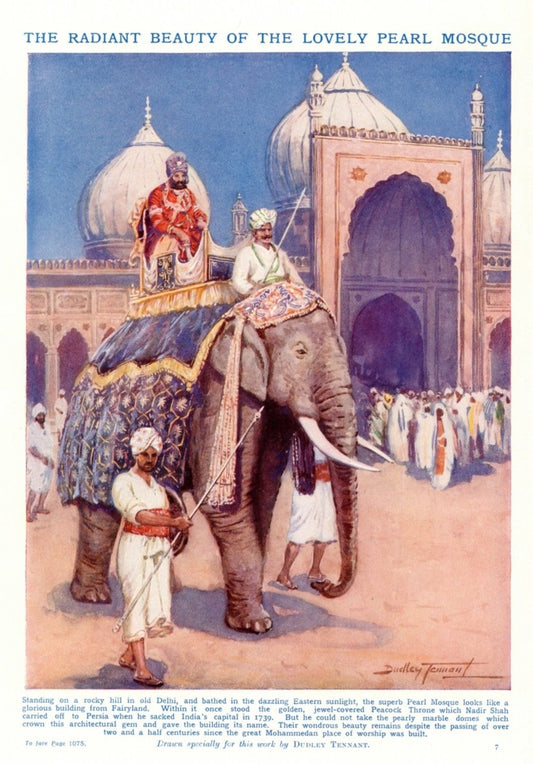 Dimensions 3912 x 5608 pixels