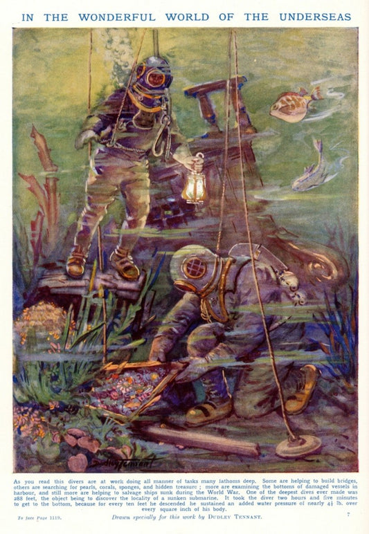 Dimensions 3832 x 5544 pixels