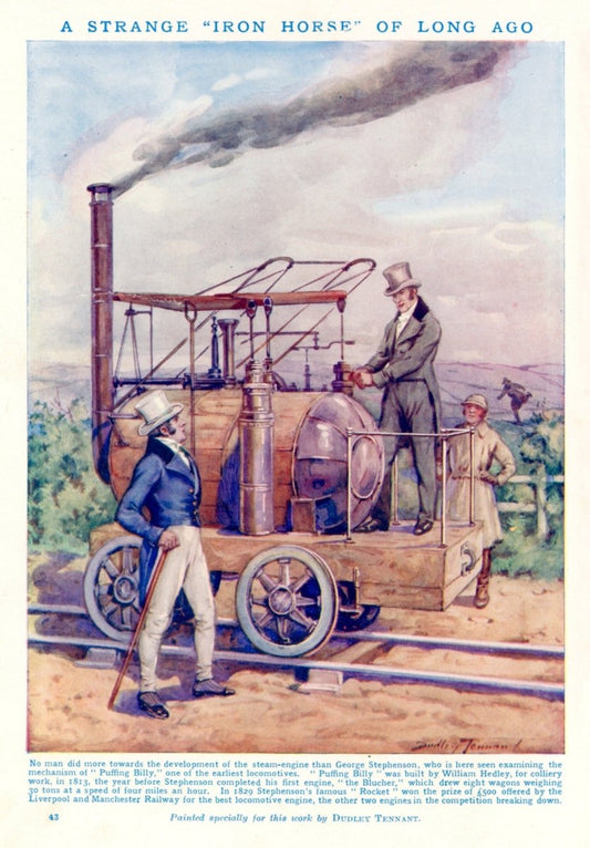 Dimensions 3892 x 5593 pixels