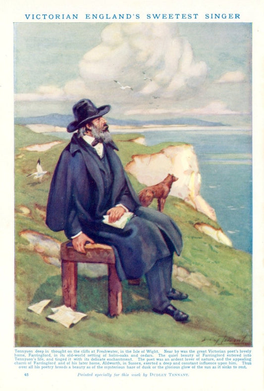 Dimensions 3942 x 5841 pixels