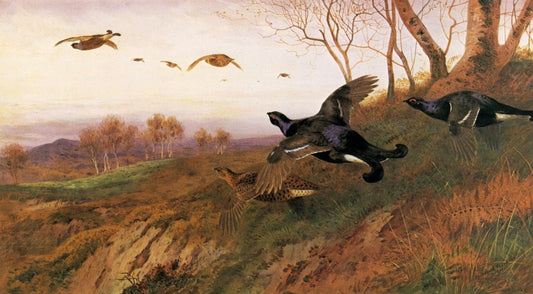 Dimensions 6606 x 3645 pixels