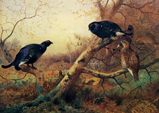 Dimensions 6450 x 4580 pixels